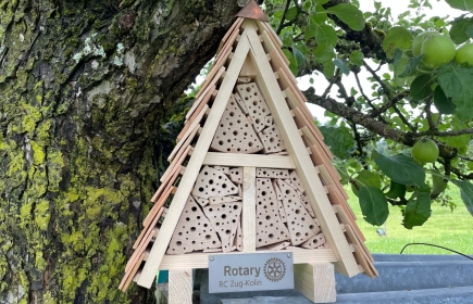L'hotel delle api selvatiche del Rotary Club Zug-Kolin è già stato allestito dal club.